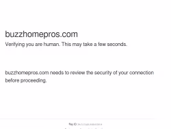 Buzzhomepros