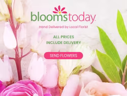 Bloomstoday