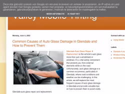 Valleymobiletinting