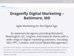 Dragonflydm
