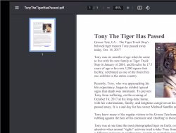 Tigertruckstop