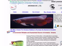 Premiumarowanashop