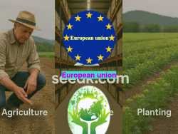 Seedk