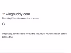 Wingbuddy