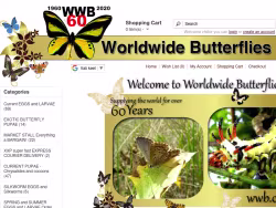 Wwb