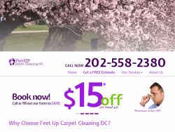 Washington-dc-carpet-cleaning