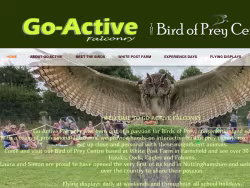 Goactivefalconry