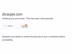 Dicarpet