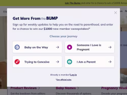 Thebump