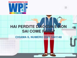 Rilevamentoperdite