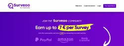 Surveoo