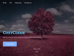 Cozyclean