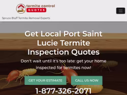 Termite-portsaintlucie