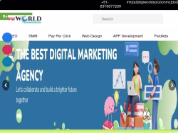Digiworldsolutioninc