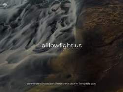 Pillowfight