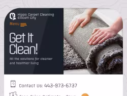 Carpetcleaningellicottcitymd