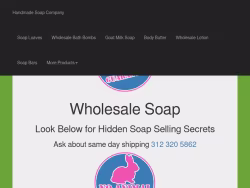 Thesoapguy
