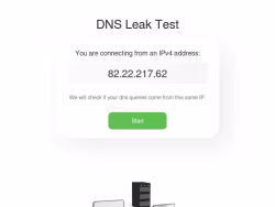 Dnsleak