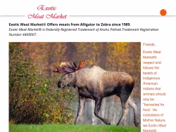 Exoticmeatmarkets