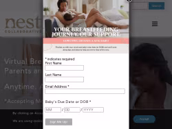 Nestcollaborative