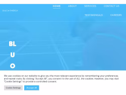 Bluonenergy