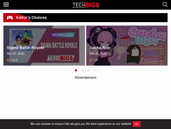 Techbigs