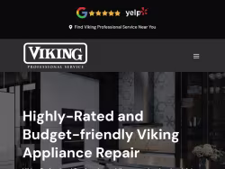 Viking-professional-service