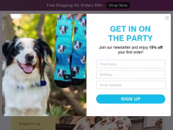 Petparty