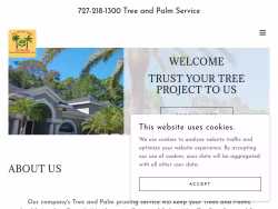 Treeandpalmservice