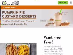 Burgerfi