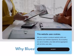 Bluestonecapsolutions