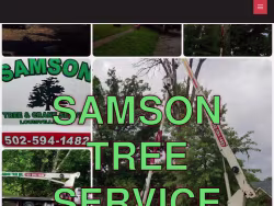 Samsontreeservice