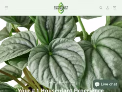 Houseplantexperience