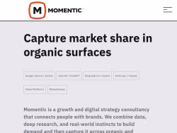 Momenticmarketing