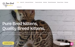 Purebredkitten.com