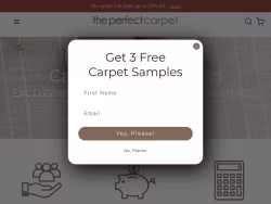 Theperfectcarpet