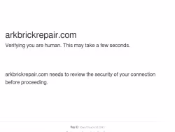 Arkbrickrepair