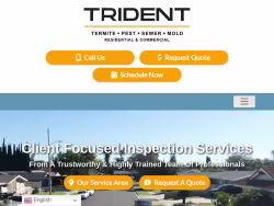 Tridentinspectiongroup