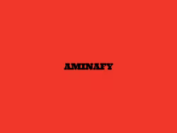 Aminafy