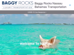 Baggyrocks