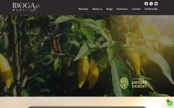 Ibogamedicine