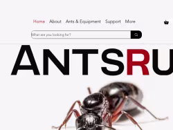 Antsrus