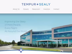 Tempursealy