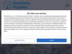 Keystonepuppies