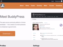 Buddypress