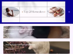 Top20remedies