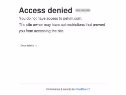 Petvm