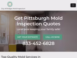 Moldinspection-pittsburgh