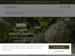 Crocus
