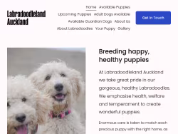 Labradoodleland